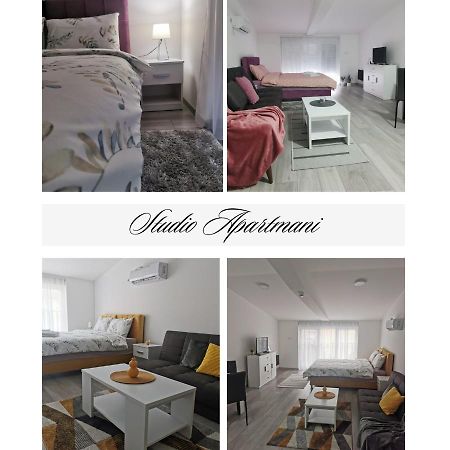 Studio Apartmani Banja Koviljaca Bagian luar foto