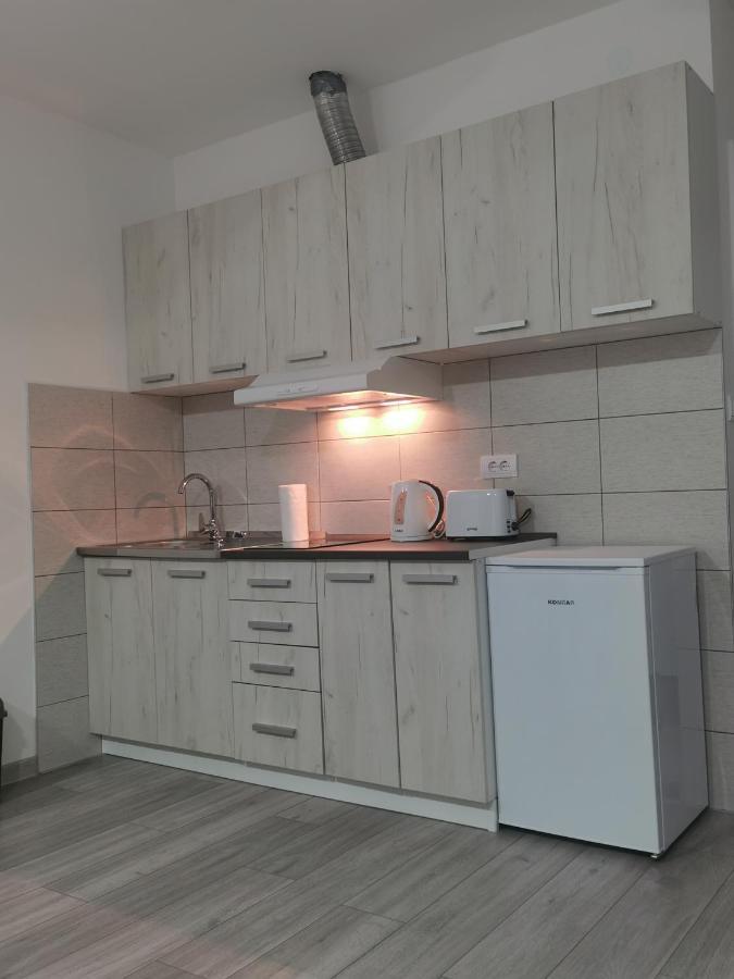 Studio Apartmani Banja Koviljaca Bagian luar foto