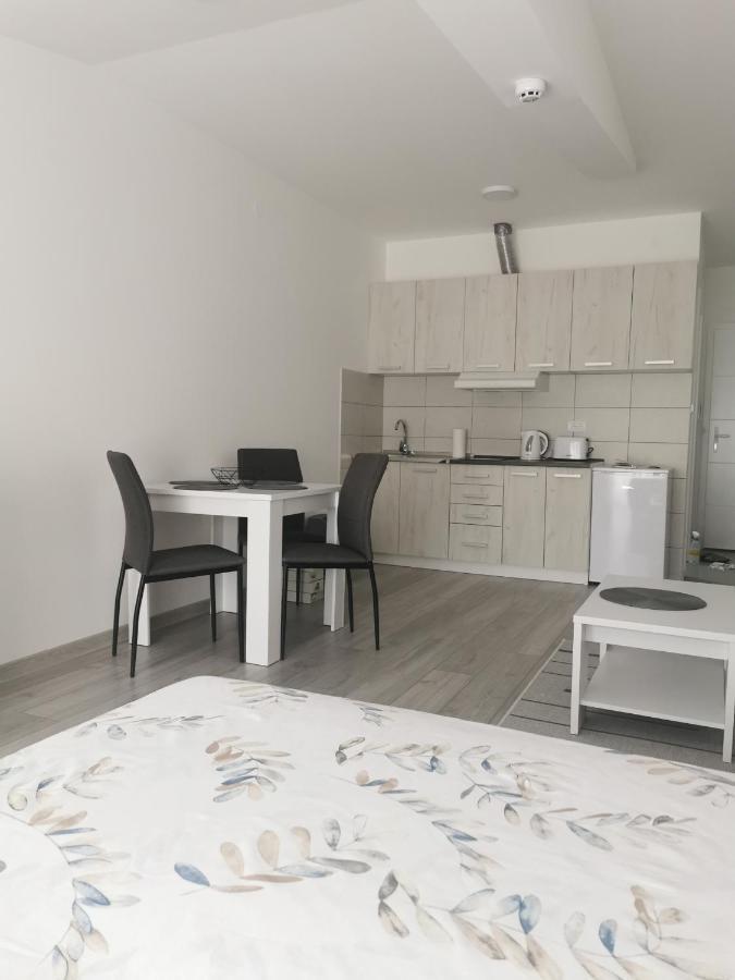 Studio Apartmani Banja Koviljaca Bagian luar foto