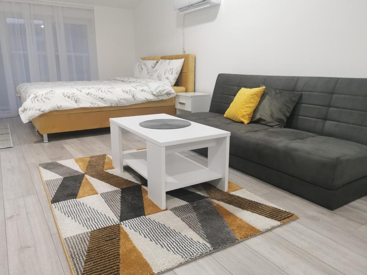 Studio Apartmani Banja Koviljaca Bagian luar foto