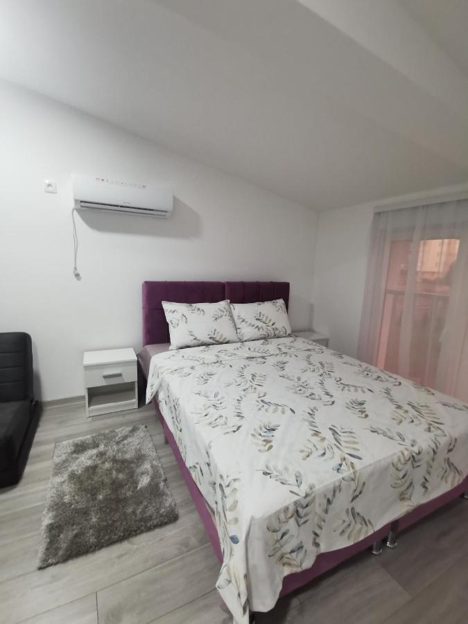 Studio Apartmani Banja Koviljaca Bagian luar foto