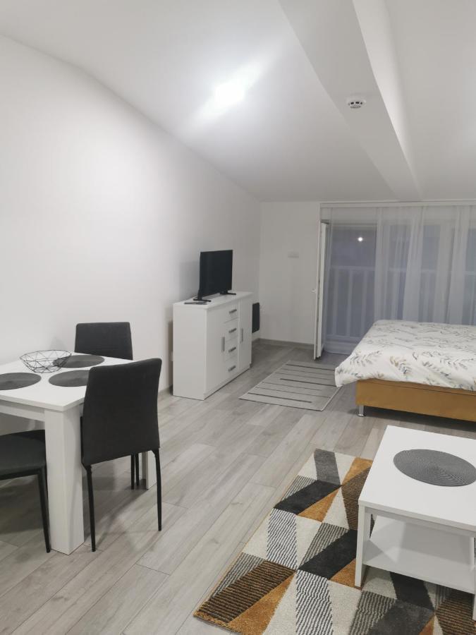 Studio Apartmani Banja Koviljaca Bagian luar foto