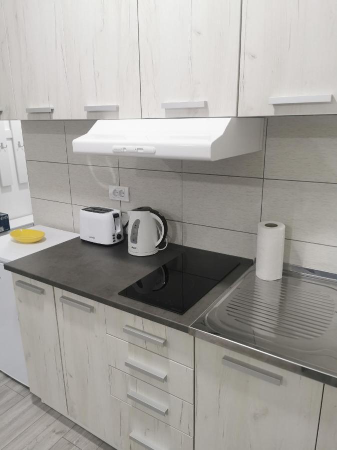 Studio Apartmani Banja Koviljaca Bagian luar foto