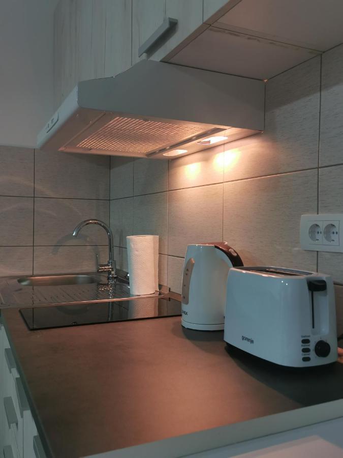 Studio Apartmani Banja Koviljaca Bagian luar foto