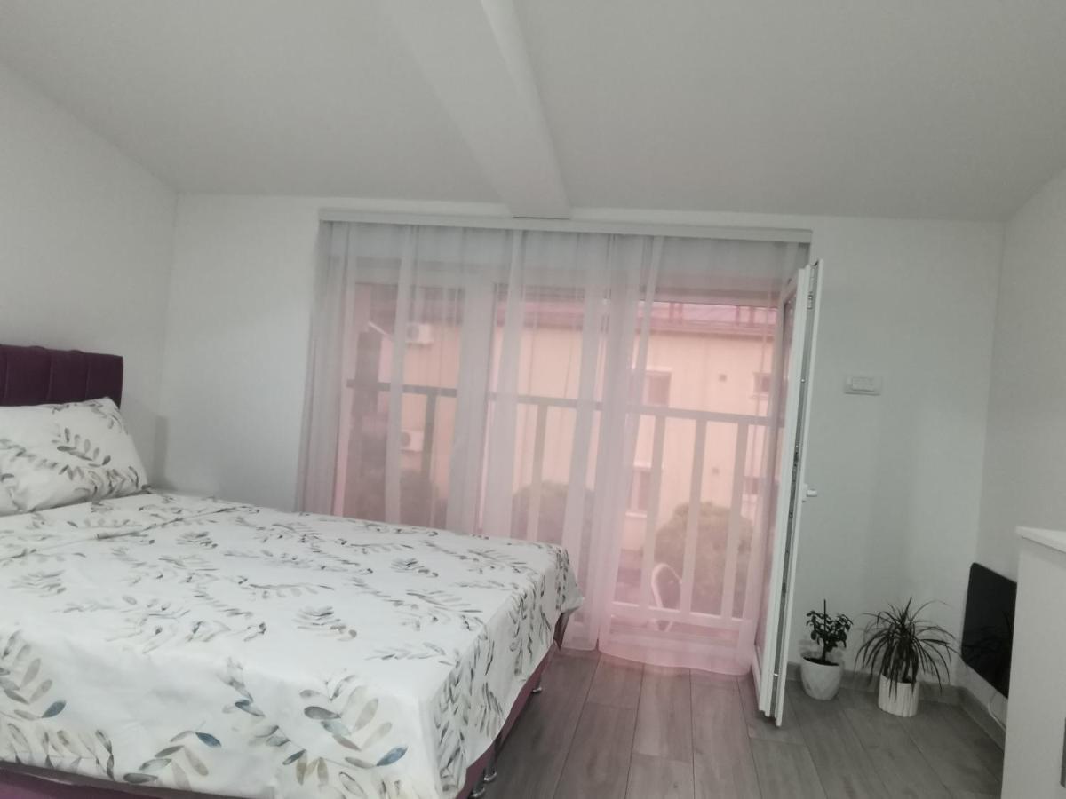Studio Apartmani Banja Koviljaca Bagian luar foto