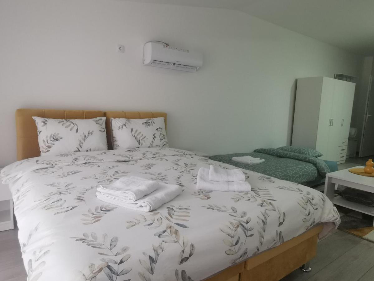 Studio Apartmani Banja Koviljaca Bagian luar foto
