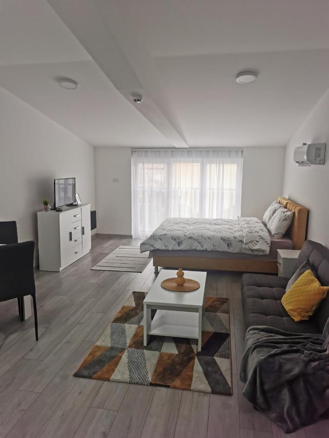 Studio Apartmani Banja Koviljaca Bagian luar foto