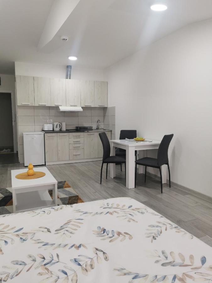 Studio Apartmani Banja Koviljaca Bagian luar foto
