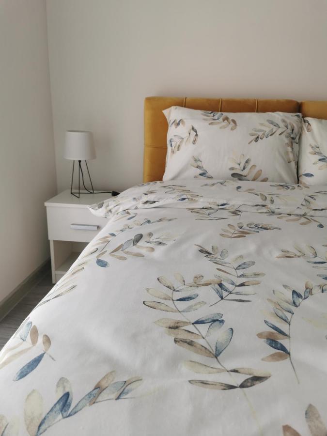 Studio Apartmani Banja Koviljaca Bagian luar foto