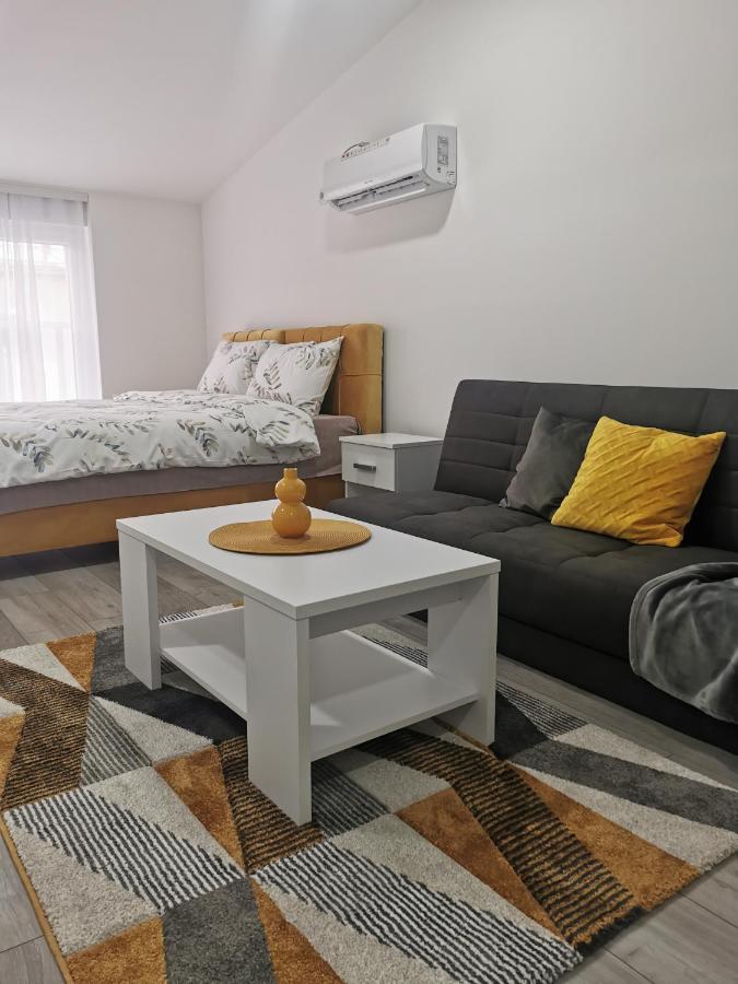 Studio Apartmani Banja Koviljaca Bagian luar foto