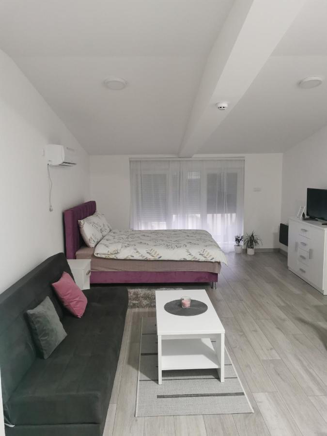 Studio Apartmani Banja Koviljaca Bagian luar foto