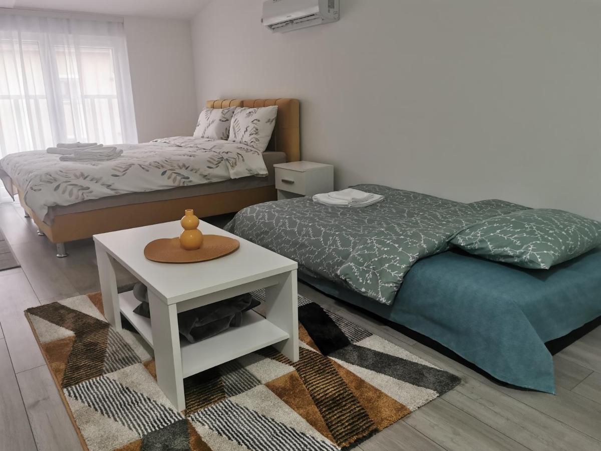 Studio Apartmani Banja Koviljaca Bagian luar foto