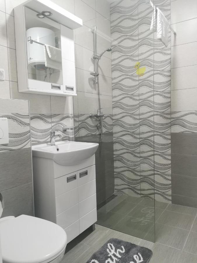 Studio Apartmani Banja Koviljaca Bagian luar foto