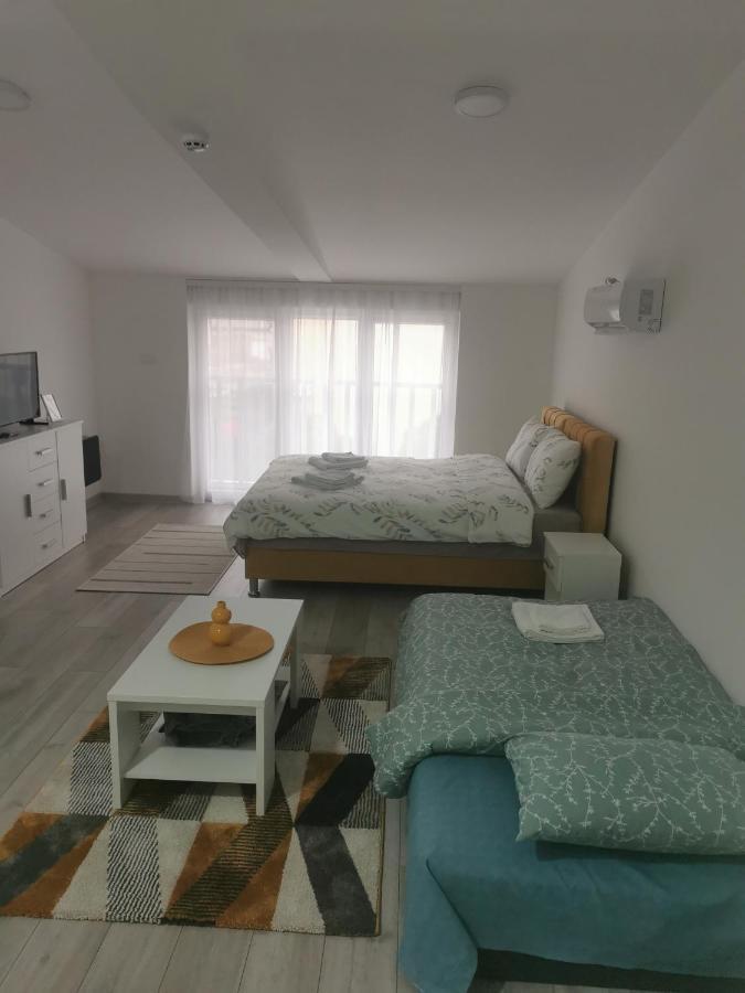 Studio Apartmani Banja Koviljaca Bagian luar foto