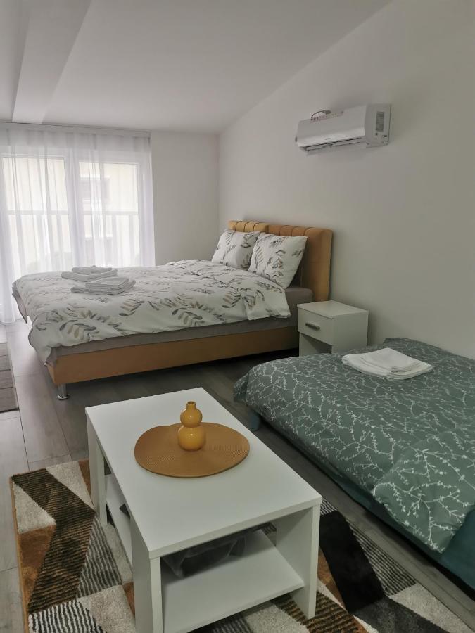 Studio Apartmani Banja Koviljaca Bagian luar foto