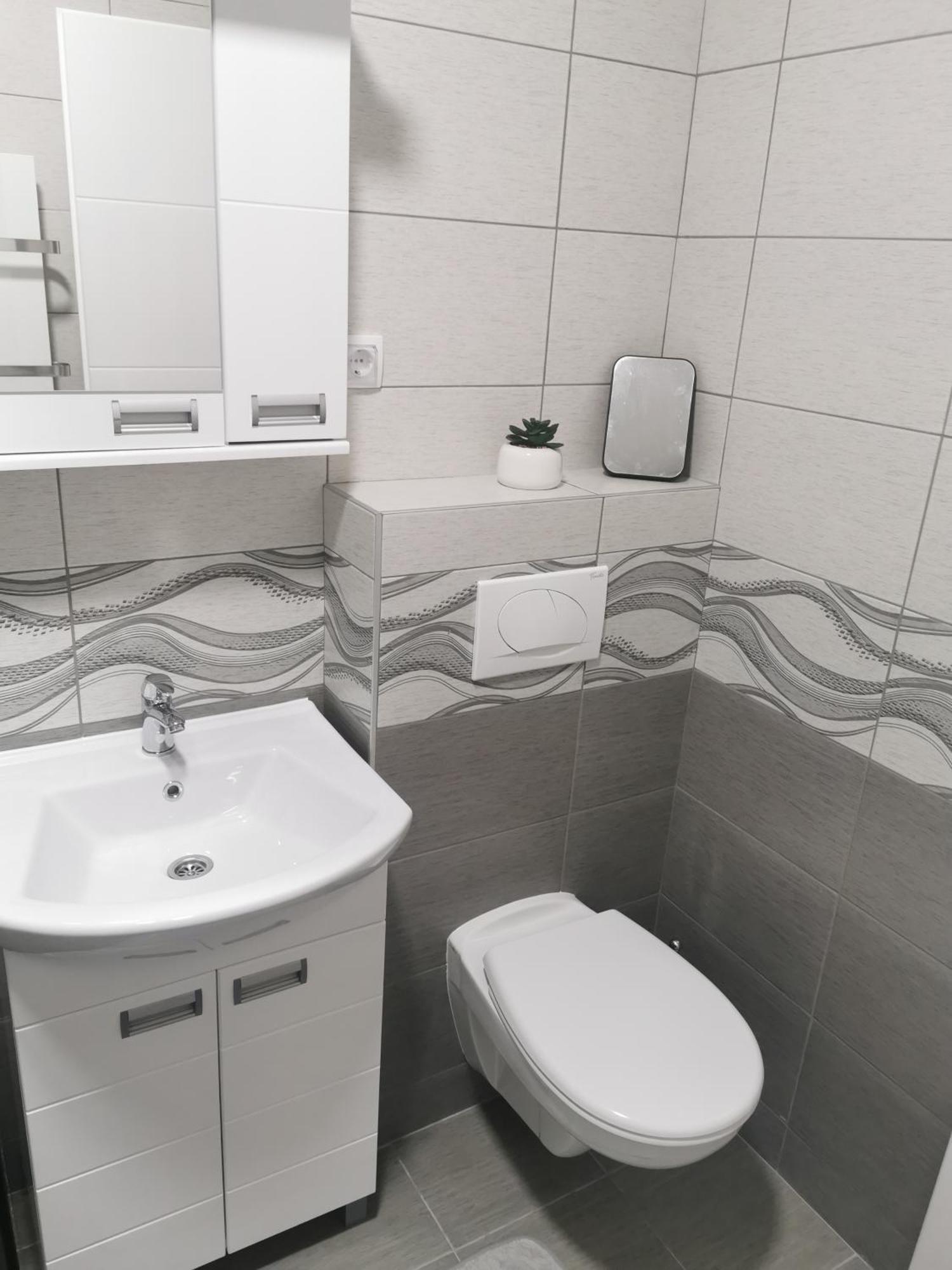 Studio Apartmani Banja Koviljaca Bagian luar foto