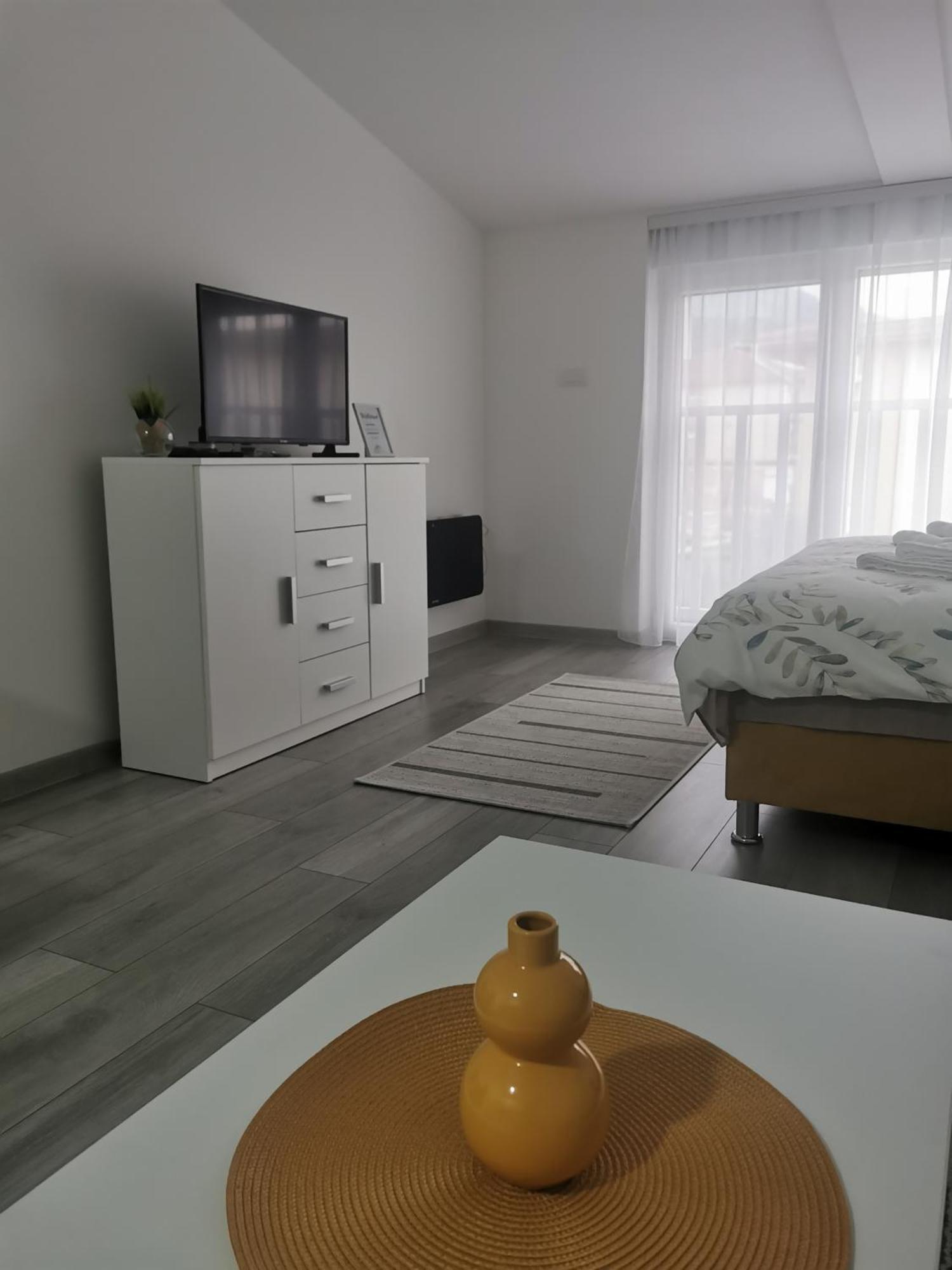 Studio Apartmani Banja Koviljaca Bagian luar foto