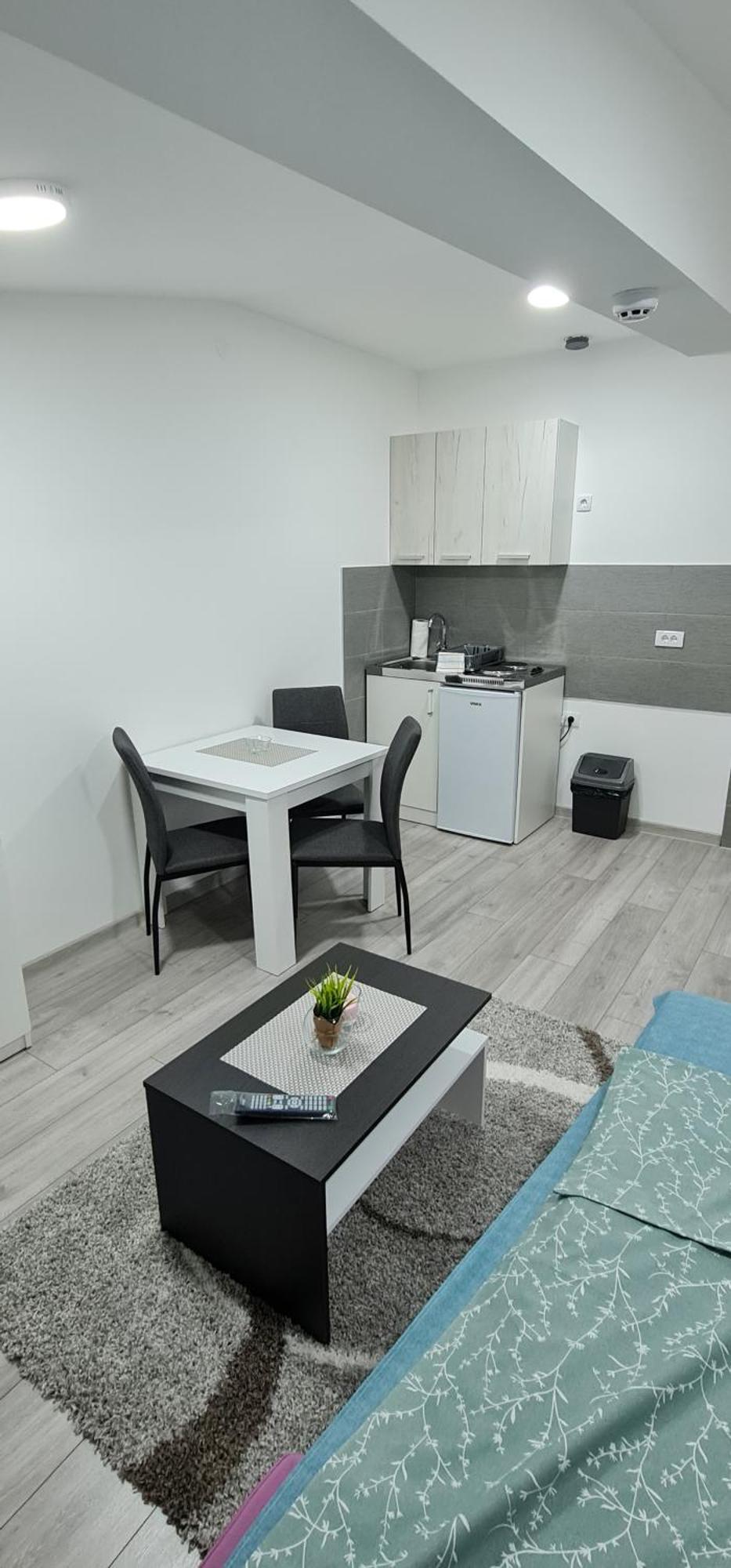 Studio Apartmani Banja Koviljaca Bagian luar foto
