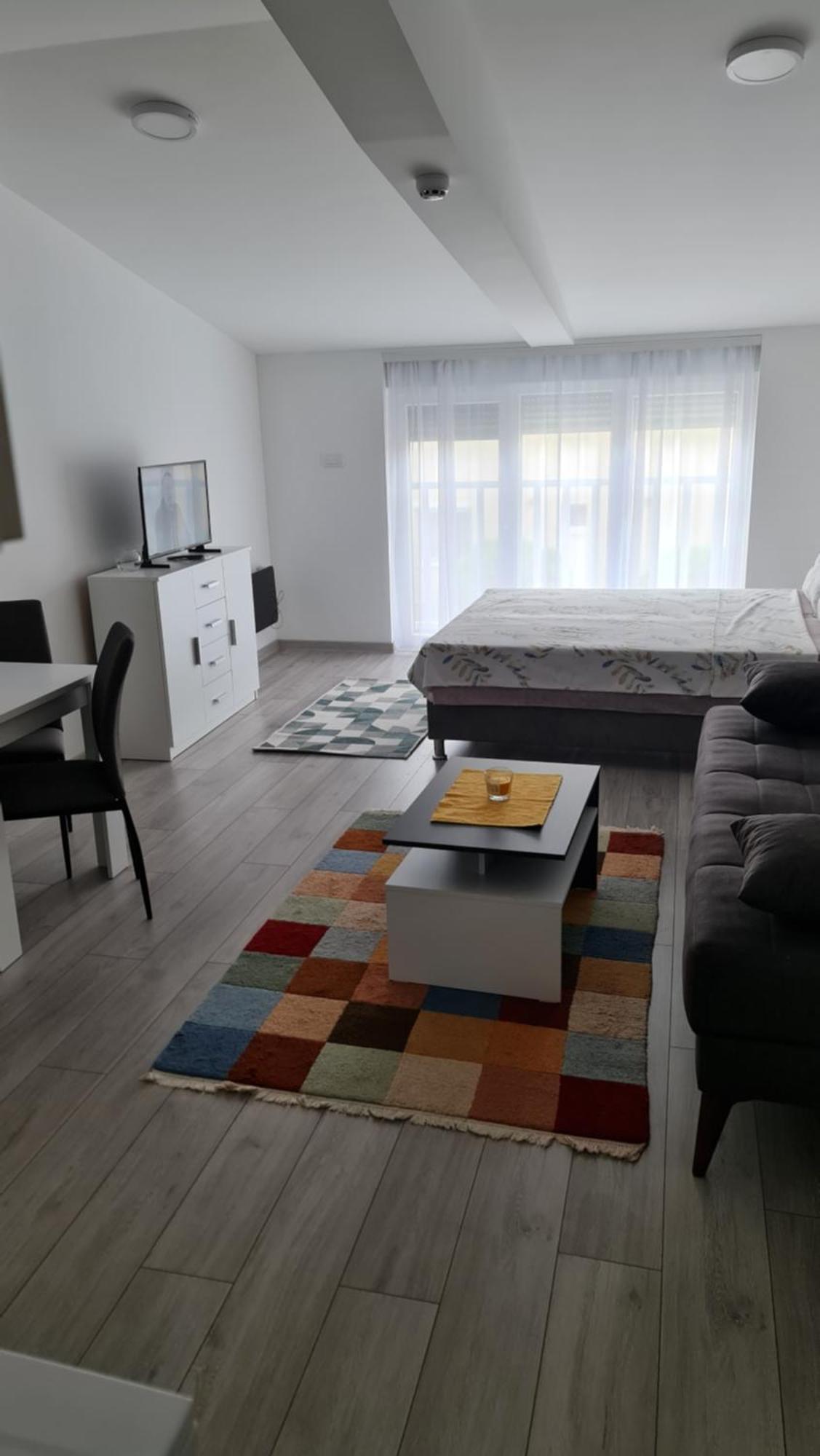 Studio Apartmani Banja Koviljaca Bagian luar foto