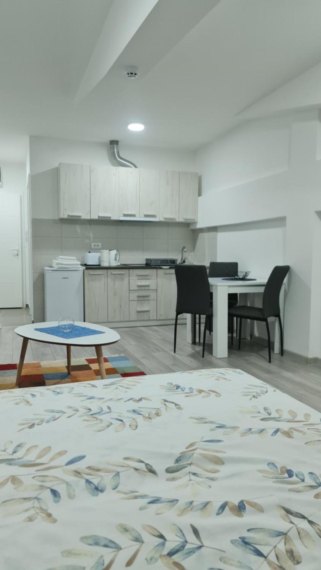 Studio Apartmani Banja Koviljaca Ruang foto