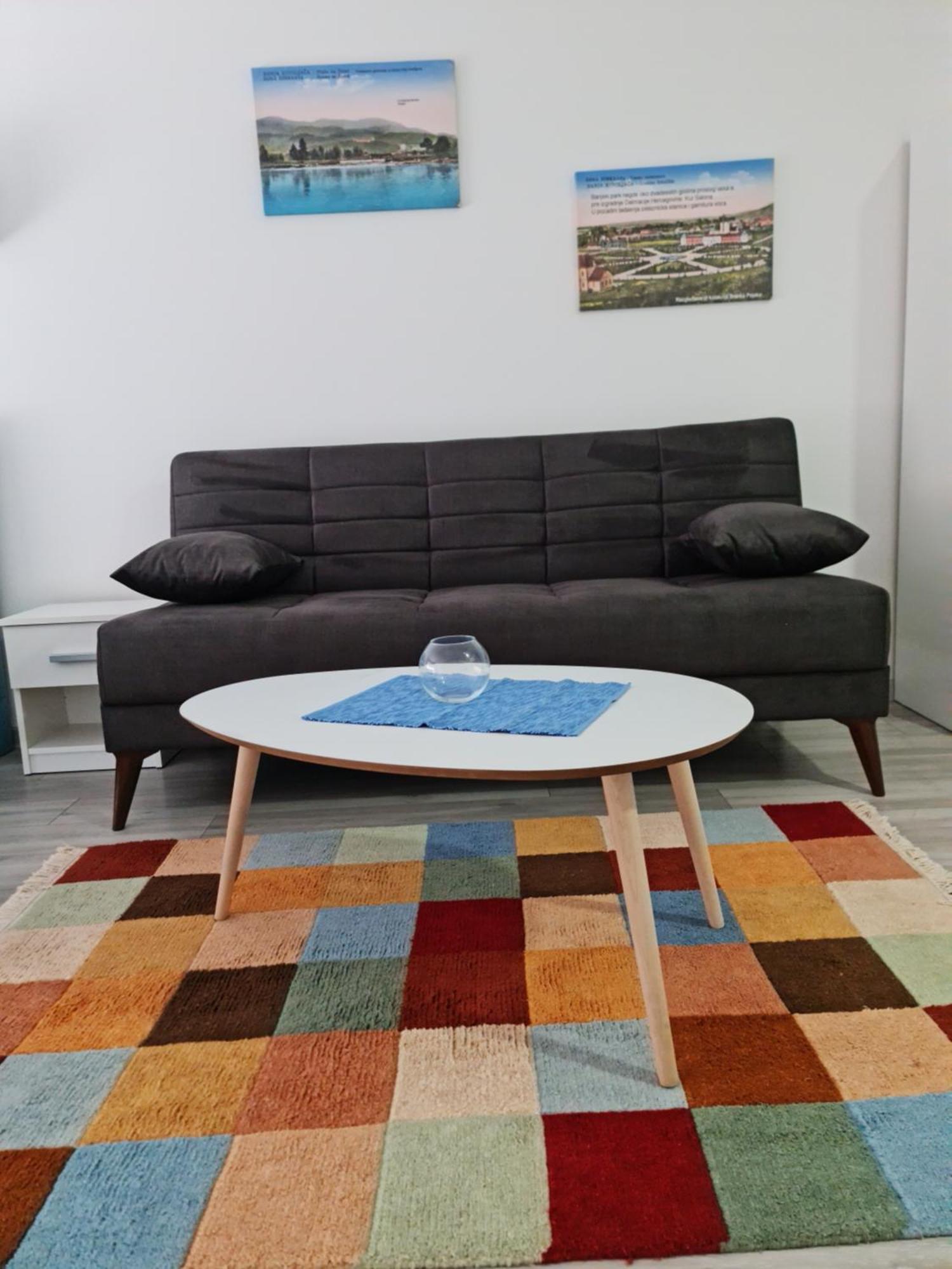 Studio Apartmani Banja Koviljaca Ruang foto